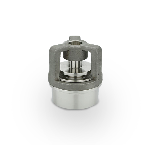 Poppet Valve
